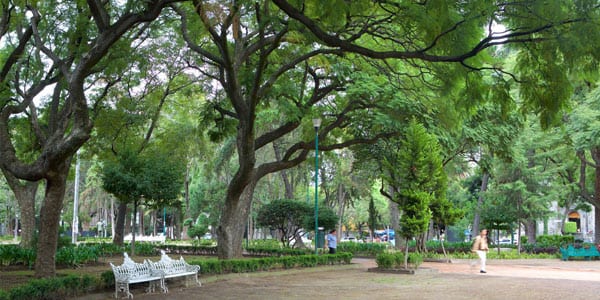 Parque La Hormiga en Polanco