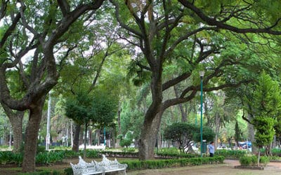 Renta Departamento en Áreas Verdes Polanco 2021
