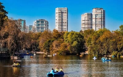 Sostenibilidad y Vida Verde en Departamentos en Venta en Polanco