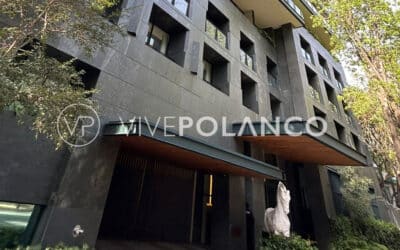 Encuentra tu Espacio Ideal: Departamentos en Renta en Polanco